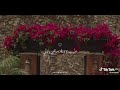 صارلي زمان ماخجلتش من واحده بتطلع في صارلي زمان ماخجلتش من واحده بتطلع في
