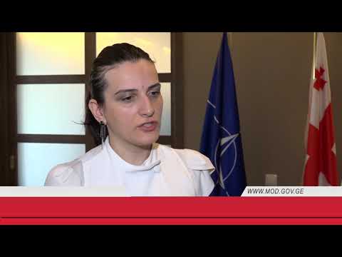 DIB-ში საერთაშორისო მოლაპარაკებებში ტრენინგი დაიწყო