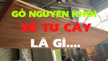 “Mặt Bàn Nguyên Tấm” xẻ Từ Cây là Đây, Mặt Bàn Gõ Đỏ PaChy | Nguyễn Văn Cương
