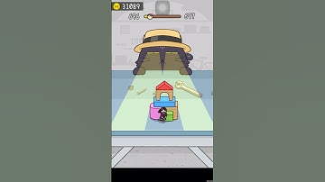 Hide and seek cat escape game level 696 #youtubeshorts #gameplay #shortsfeed #games #trendingshorts