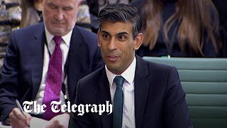 video: Give me Labrador-loving Rishi as Prime Minister over football-mad Keir any day