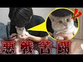 保護した猫の爪切りにしたらまさかの大暴れ！！