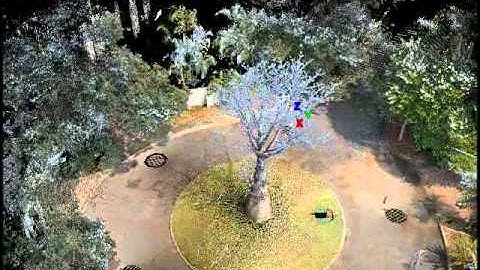 3D Point Cloud - Baobab Tree