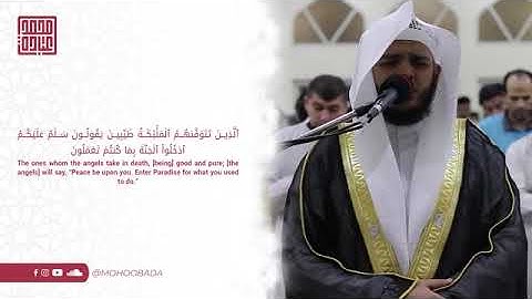 سورة النحل كاملة -  الشيخ محمد عبادة