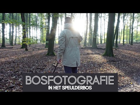 Video: Hoe Fotografeer Je Een Bos