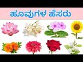 Flower names |ಹೂವಿನ ಹೆಸರುಗಳು|Kannada to English #vocabulary #kannadatoenglish #easyenglisheveryday