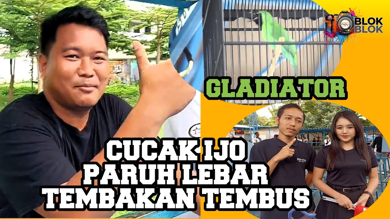 MATERI PANJANG CUCAK IJO GLADIATOR - AKBAR GARDEN 🔵 AT PANLONG STADIUM