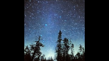 Thumbnail of ai created starry night in the forest