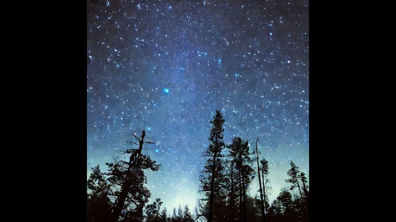 ai created starry night in the forest
