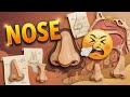 🌟 The Amazing World of Noses | Cool Facts for Kids