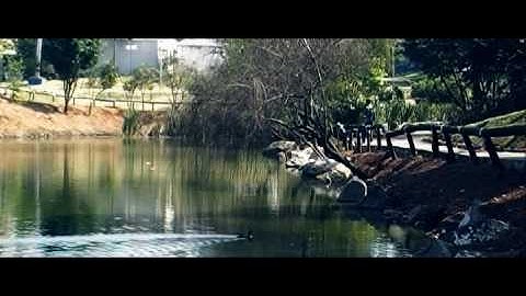 Teste sony vegas 7.0 + New Blue Fx plugin film look