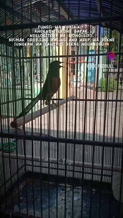 kata kata story wa murai batu