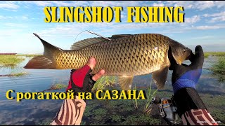 Рыбалка с рогаткой. Много сазана. SLINGSHOT FISHING ONLINE