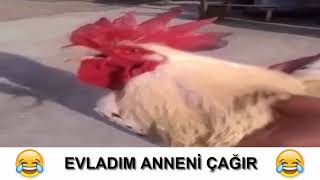 Evladım anneni bi çağırsana