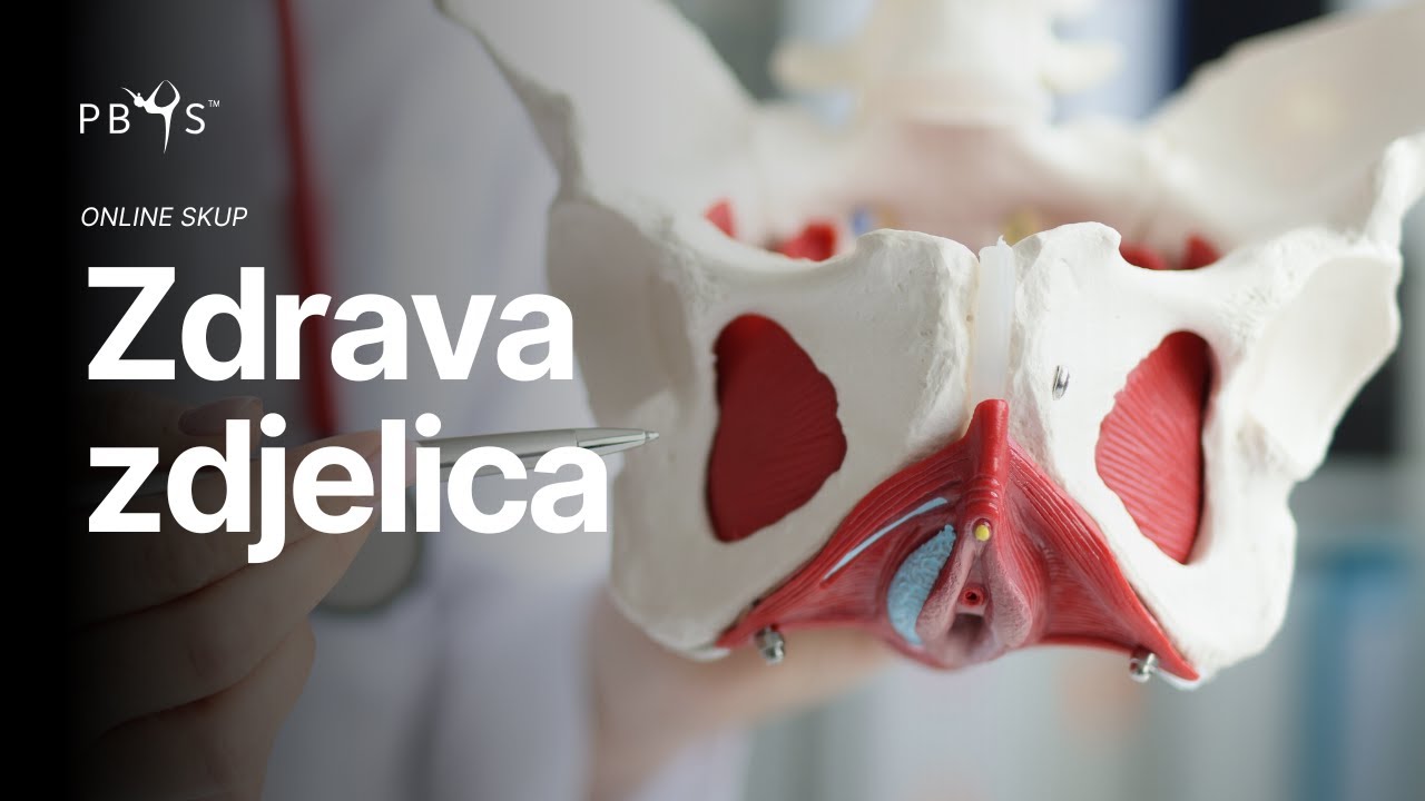 ZDRAVA ZDJELICA: Sve što trebate znati o prolapsu, inkontinenciji i hormonalnim promjenama