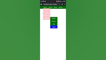 Css Drop Down Manu Beginner