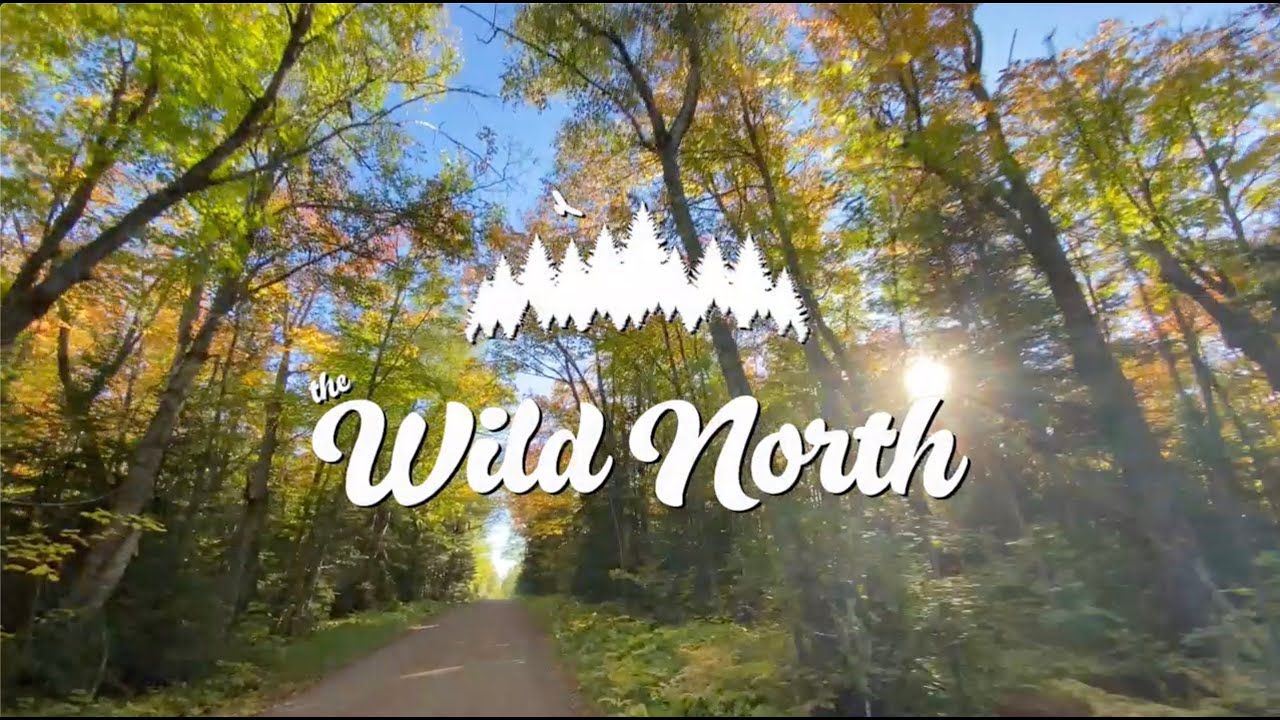 The Wild North ep1: Fall on the North Shore
