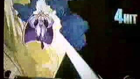 Marvel vs Capcom 2: The Guessing Game Video 7 Answered