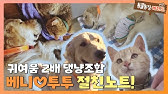 불청객 길고양이 '뻔순이' @TV동물농장 140914 - YouTube 불청객 길고양이 '뻔순이' @Tv동물농장 140914 - Youtube