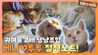 [TV 동물농장 레전드] ‘개냥 커플, 베니♥투투의 절친노트!’ 풀버전 다시보기 I TV동물농장 (Animal Farm) | SBS Story