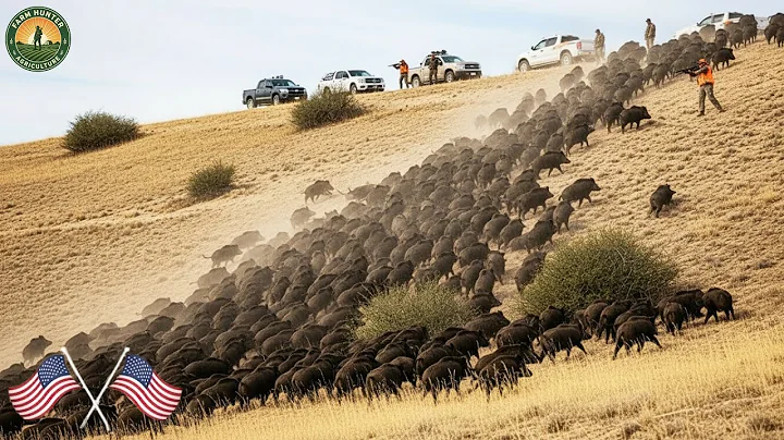 How Farmers and Hunters Deal with Millions of Wild Hogs and 12,000lb Giants | Wild Boar Hunting