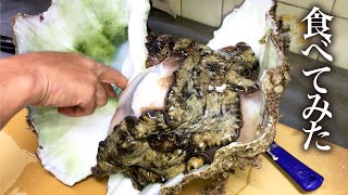 人喰い巨大シャコ貝を捌いてみると中身が衝撃過ぎたので Youtube 人喰い巨大シャコ貝を捌いてみると中身が衝撃過ぎたので Youtube