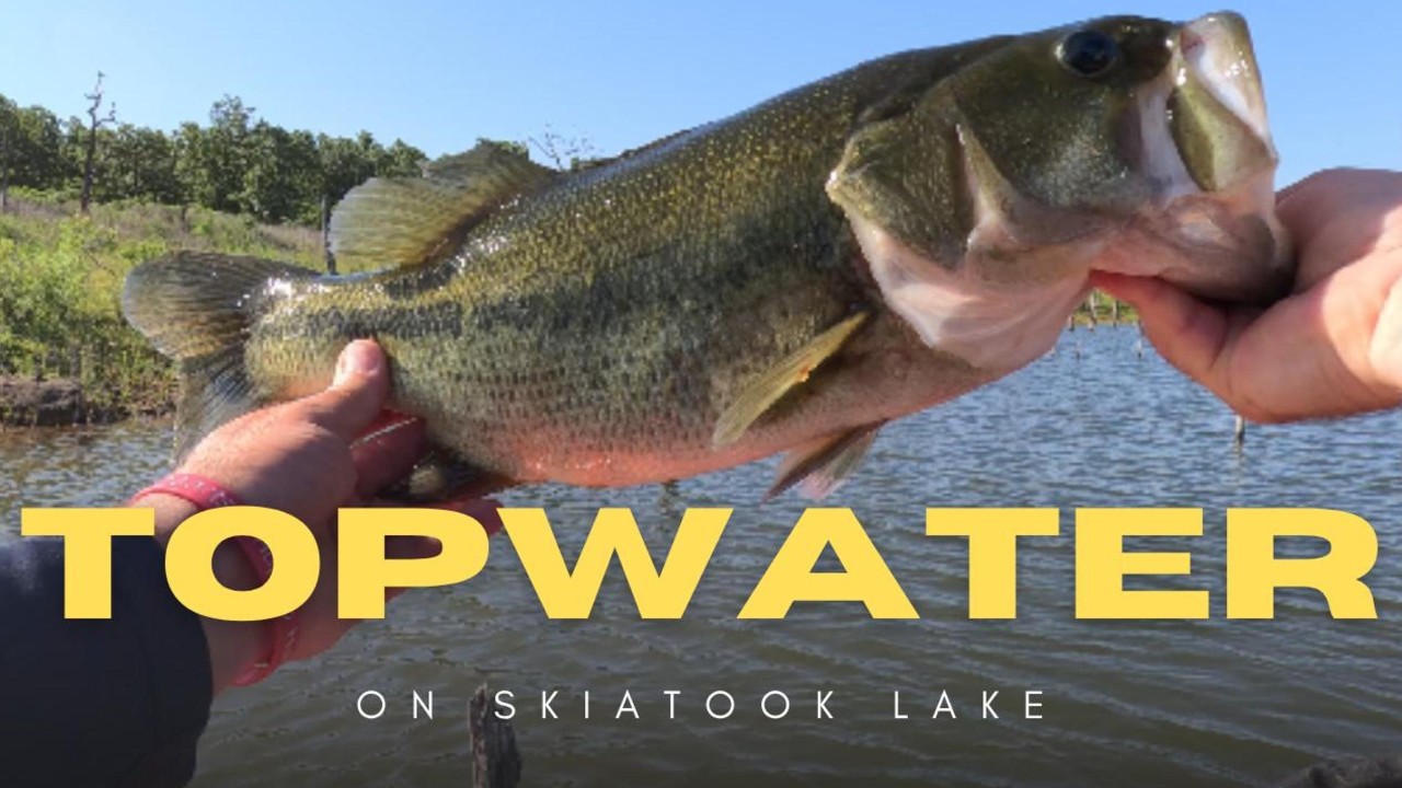 Topwater Fishing on Skiatook Lake