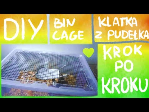 Wideo: Jak Zrobić Klatkę Dla Chomika DIY?