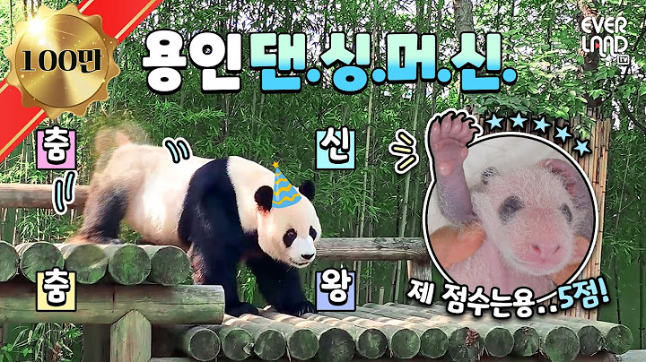 Birthday celebration🎉 Panda World's superstar Lebao's dance skills..! I'll show you everything today