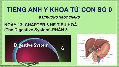 TIẾNG ANH Y KHOA TỪ CON SỐ 0: NGÀY 13- CHAPTER 6 HỆ TIÊU HOÁ (The Digestive System)- PHẦN 3
