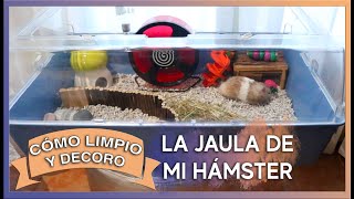 Rutina de higiene y cuidados de mi hámster 4.0| Cómo limpio y decoro la jaula de Mushu| MOA's World