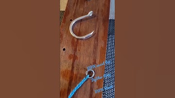 Topwater Assist Hook Rig