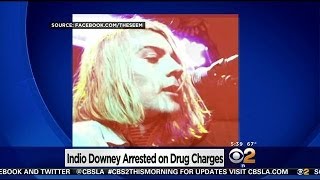 Robert Downey Jr.'s Son Arrested On Felony Drug Charges In WeHo