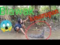 BIAWAK BESAR YANG PINTAR!!!!!