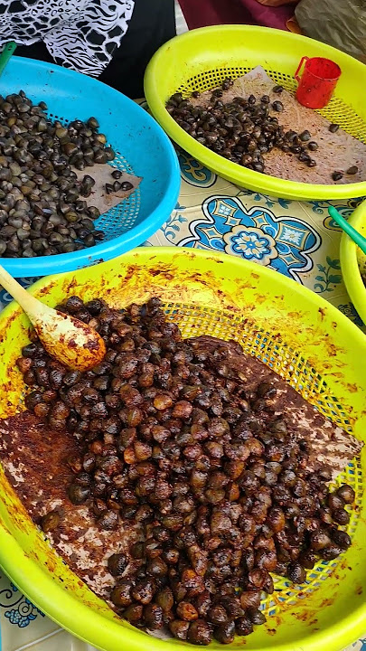 Etok Salai ori Kelate..#viral#fyp #etoksalai#kelateku