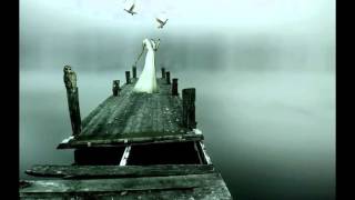 Konvex & The Shadow  - Shooting Star feat  Frag Andre Crom Remix