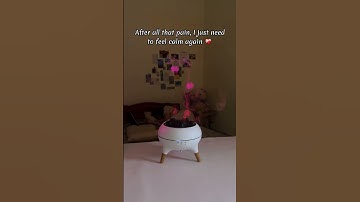 #jellyfish #aesthetic #diffuser #calm #peaceful #ocean #fyp