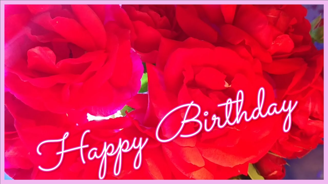 バースデーカード 03 Happy Birthday Video Card お誕生日おめでとう Happy Birthday To You メッセージカード 赤いバラ Red Rose Youtube