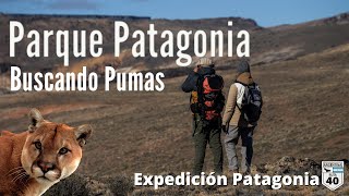 Buscando pumas en el Parque Patagonia #patagoniaargentina #treking #viajes