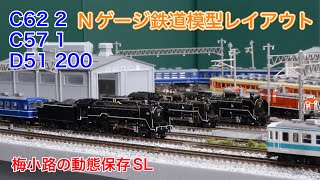 JR西日本の動態保存機と12系客車をNゲージ鉄道模型レイアウトで楽しむ