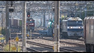 【貨物列車集合！】大宮操車場