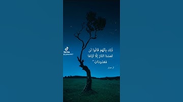 ألم تر إلى الذين أوتوا نصيبا من الكتاب يدعون إلى كتاب الله ليحكم بينهم = سورة آل عمران= #سعد_الغامدي