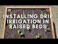 How to install drip irrigation in raised garden beds using drip tape