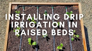 How to Install Drip Irrigation in Raised Garden Beds (Using Drip Tape)