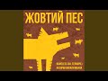 Червоні Очі Фазанів Червоні Очі Фазанів