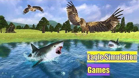 Eagle Simulation 3D Games ( Animals Simulation )