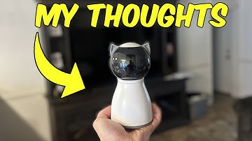 Review of this Automatic Laser Cat Toy!