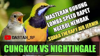 CUNGKOK VS SIKATAN LONDO NIGHTINGALE