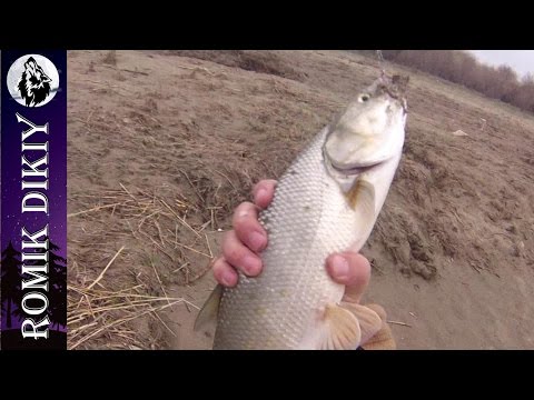 Весенняя рыбалка на жереха. (2-3 апреля 2016г)