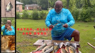 CATCH, CLEAN AND COOK BLUE TILAPIA FISH #fypyoutube #fishing #catchandcook #tilapia #explorepage